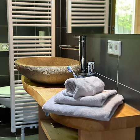 Bischofsmuetze - Direkt An Der Skipiste Im Skigebiet Dachstein West *