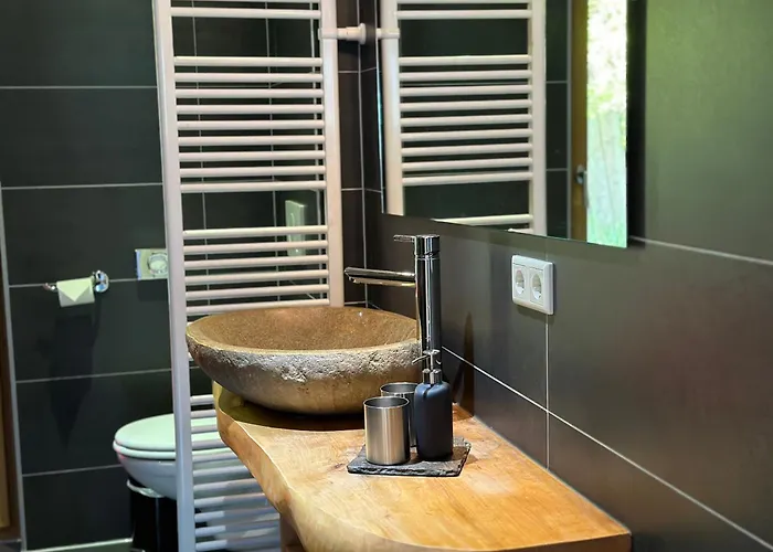 Dağ evi Bischofsmuetze - Direkt An Der Skipiste Im Skigebiet Dachstein West *